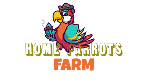 Home Parrots Farm